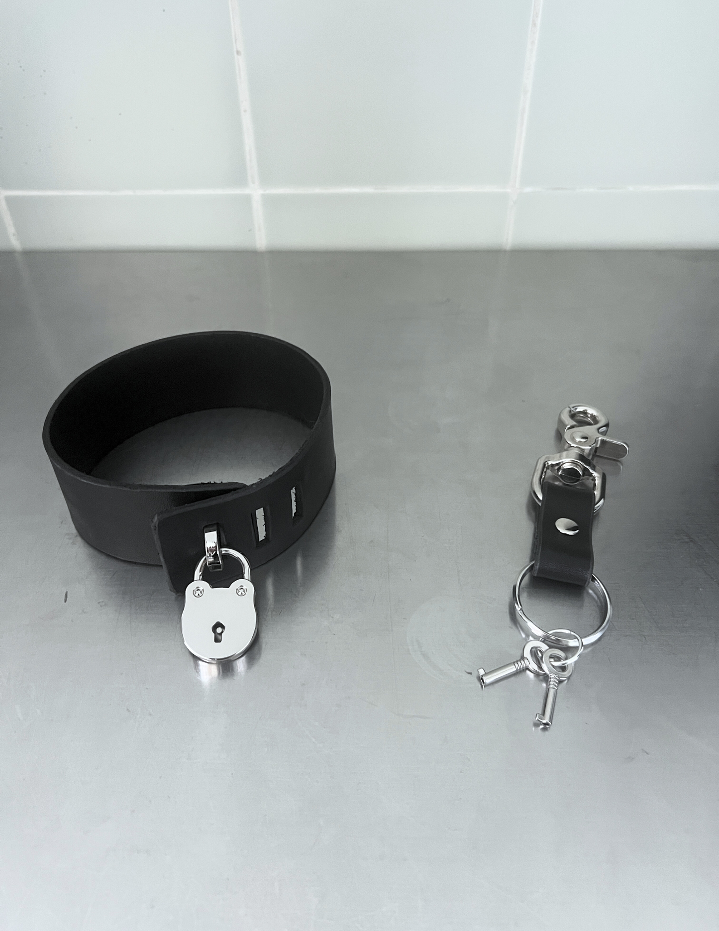 Sanctuary Collar